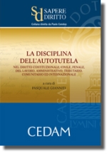 La disciplina dell'autotutela Nel diritto costituzionale, civile, penale, del lavoro, amministrativo, tributario, comunitario ed internazionale